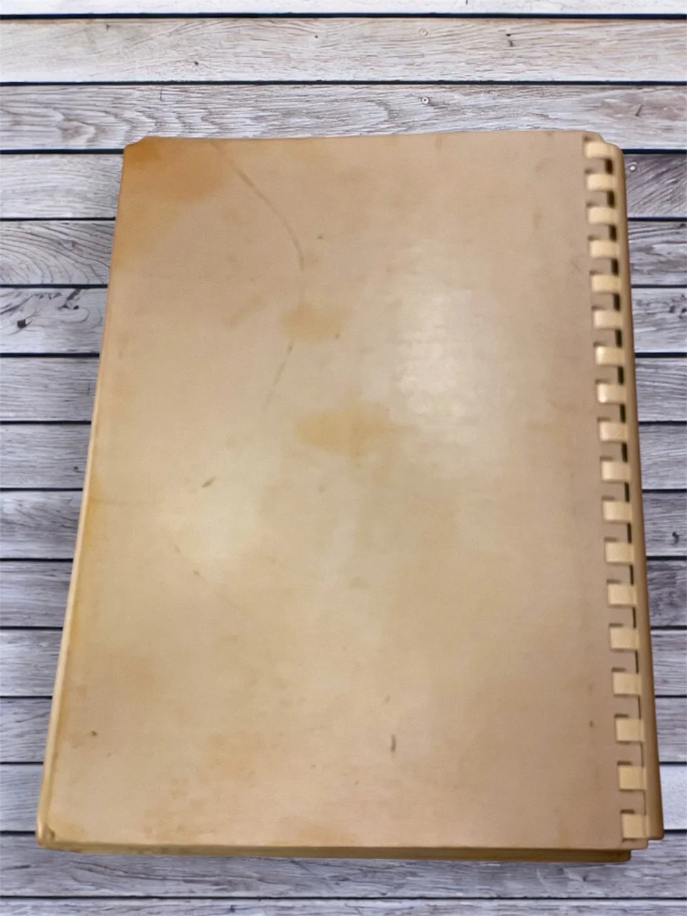 Vintage The Memphis Cook Book - Green and Orange Cover
